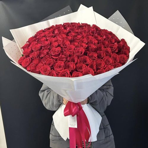 Голландская Красная Роза 101