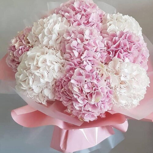 Гортензии букет PINK WHITE